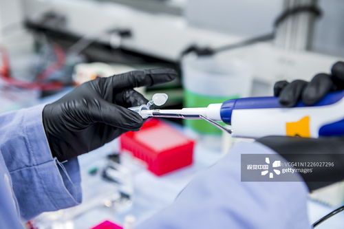 攝影圖片與攝影攝像服務(wù) 捕捉生活，定格永恒